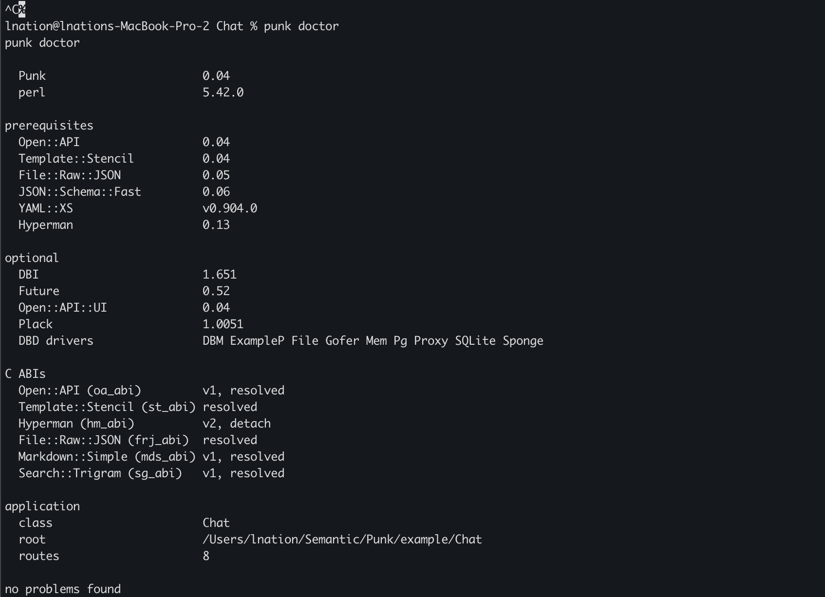 Terminal output of punk doctor: versions, C ABIs, application health